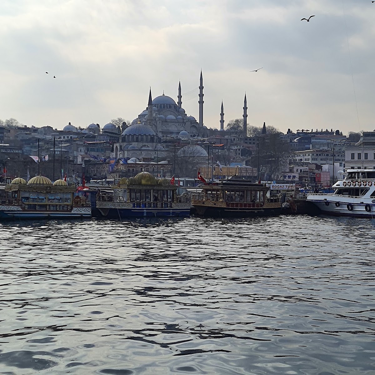 Yunus Balık galeri fotoğrafı 3
