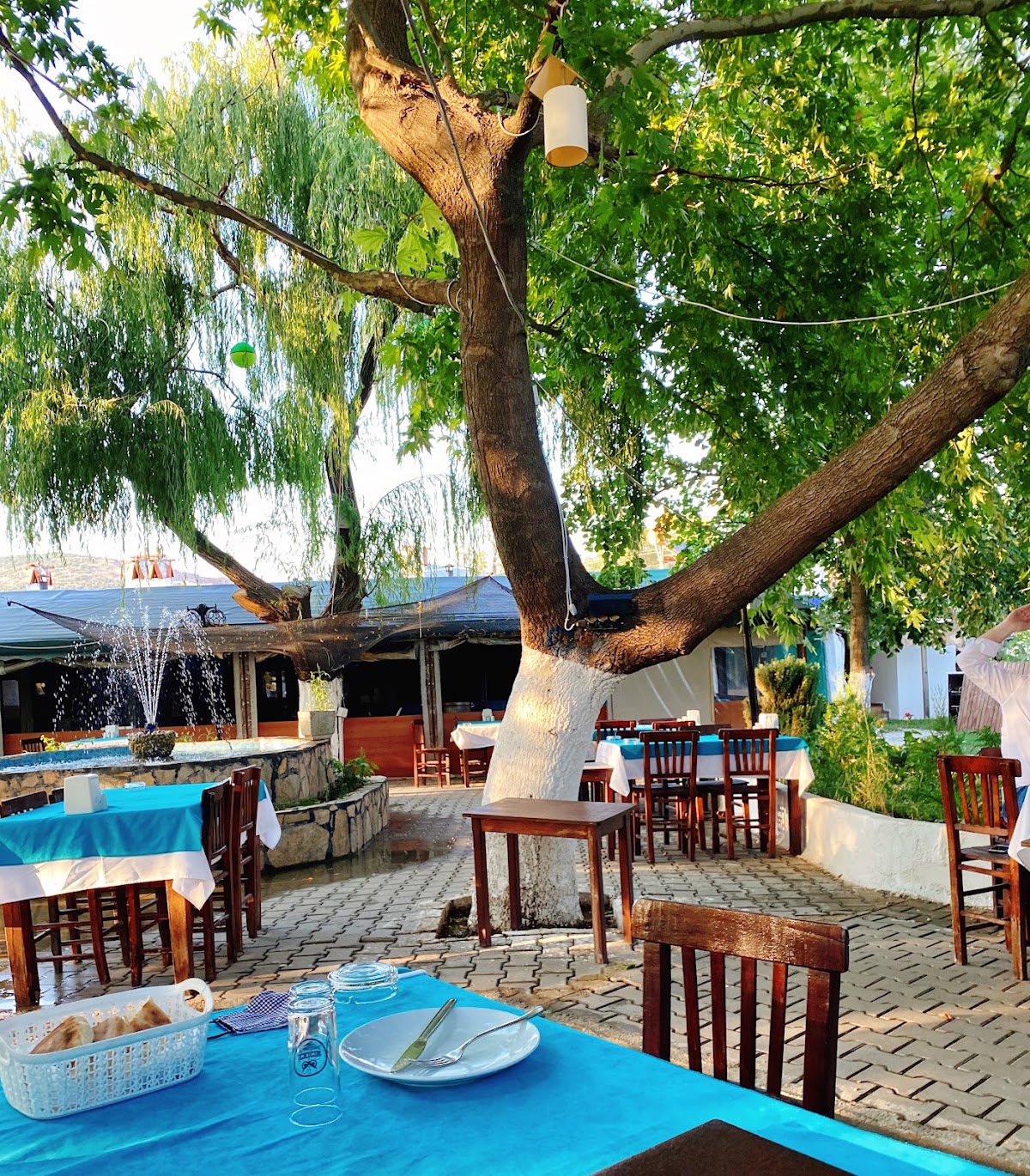 Yayla Restaurant galeri fotoğrafı 4