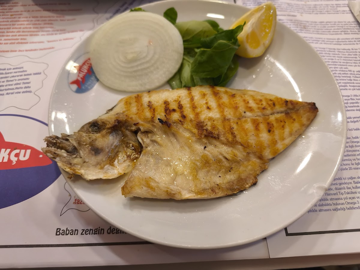 Palukçu galeri fotoğrafı 4